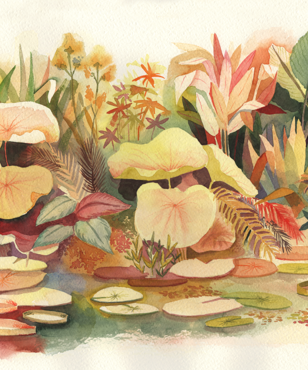 illustration personnelle aquarelle jardin botanique coloré série