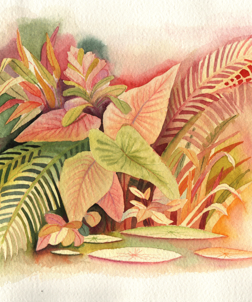 illustration personnelle aquarelle jardin botanique coloré série
