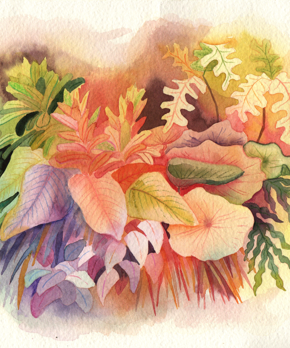 illustration personnelle aquarelle jardin botanique coloré série