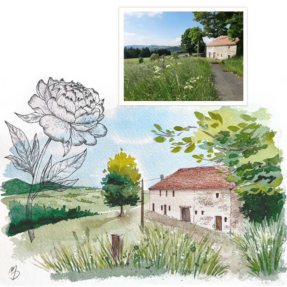 Portrait de lieu illustré à l’aquarelle, dessin maison famille, comparaison référence