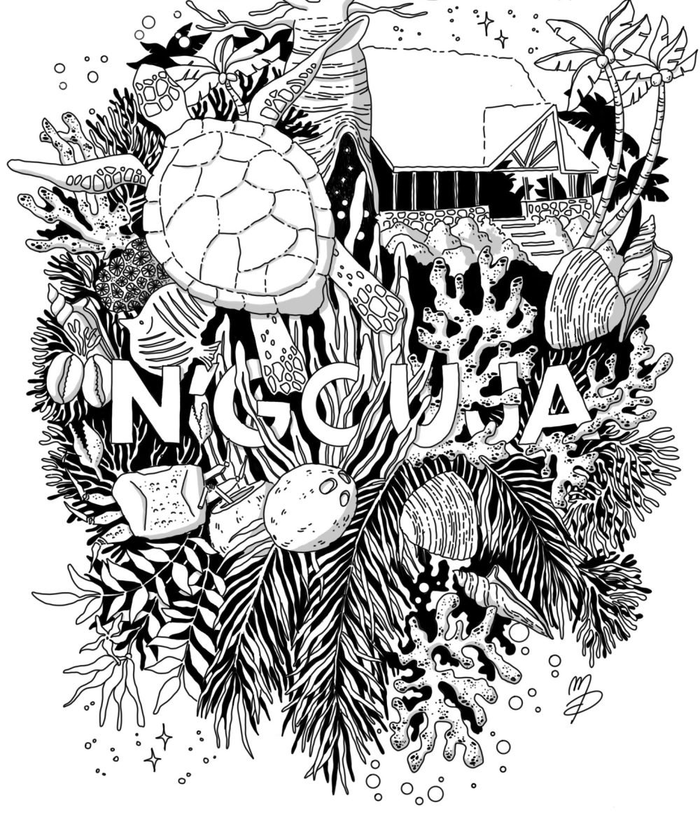 illustration souvenir de voyage plage de N'gouja Mayotte
